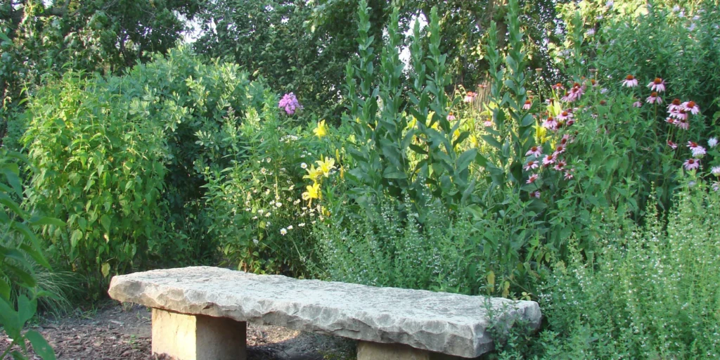 Groene tuin